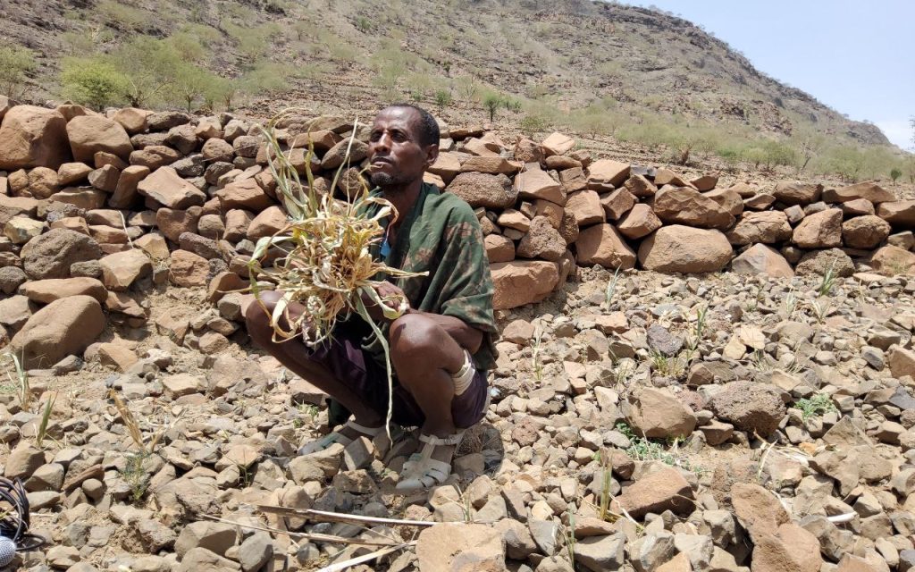 በዋግ ኽምራ የተከሰተው ድርቅ አስቸኳይ ሰብአዊ ድጋፍ ይሻል